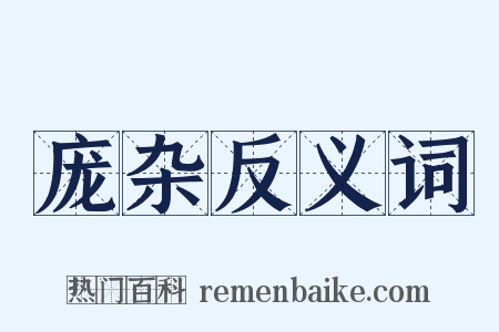 庞杂反义词是什么意思的图片